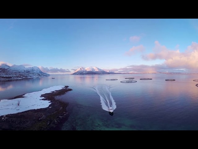 Cermaq Norway - the Arctic Experience