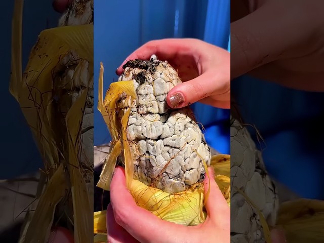 "Why Corn With Fungus Is Both Terrifying and Fascinating! 😱✨"