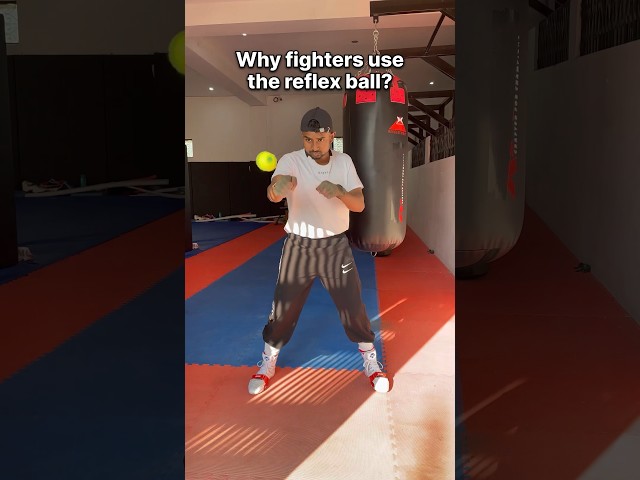 Why Boxers Use The Reflex Ball?