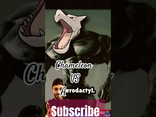 Pokémon Showdown: Ash-Chadmilion Battles Aerodactyl!