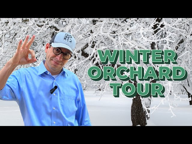 Winter Orchard Tour 2025