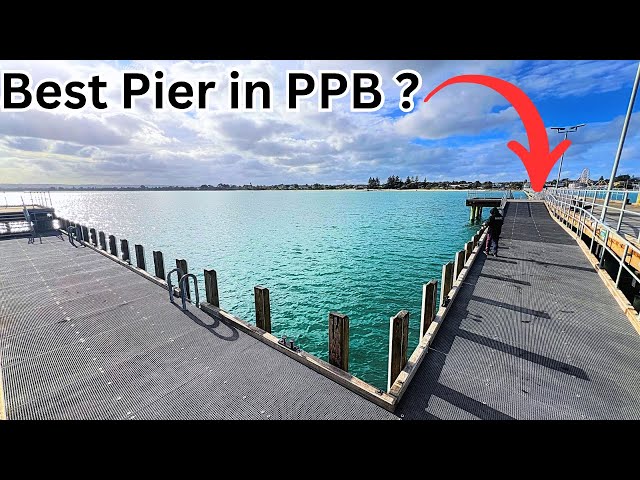 This Pier has Big FISH Everywhere!!! KGW and Squid FISHING at Rye Pier