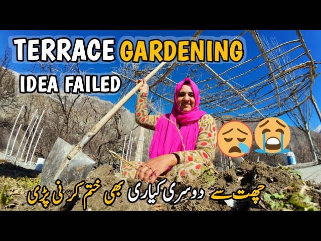 Terrace gardening Idea | Idea Failed 😭😭| Village Life Vlog | Village Lifestyle | Vlogs New Video