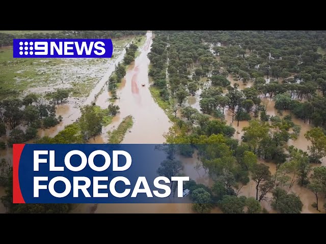 Life-threatening flash flooding forecast for North Queensland | 9 News Australia