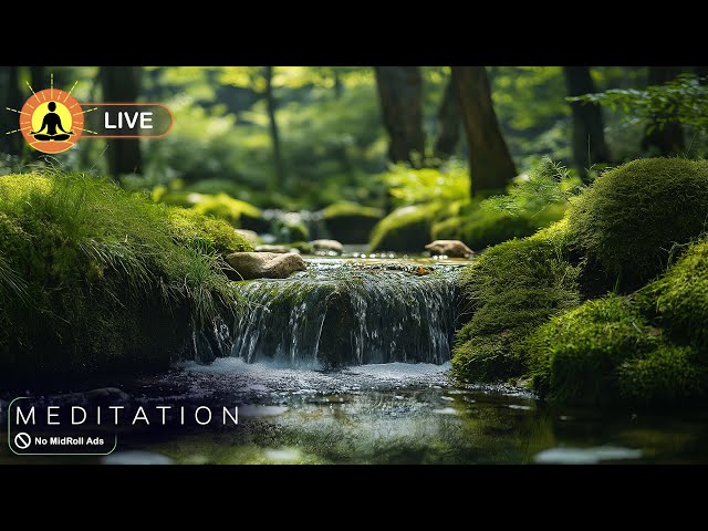 🔴 Deep Focus Meditation 24/7 🧘‍♀️3312: Music for Study, Concentration & Work | Improve Your Focus