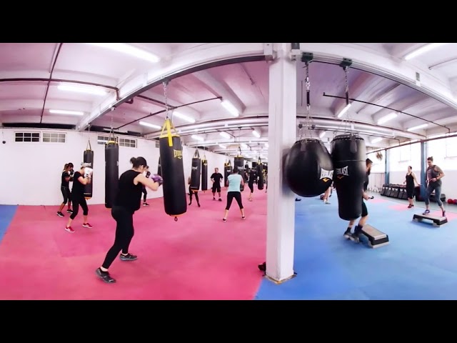 North Melbourne Boxing & Fitness 180d Gym Tour