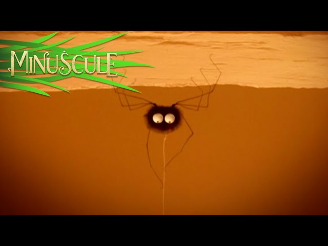 Minuscule - Un radiateur pour deux / The Winter of our Discontent (Season 1)