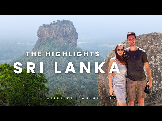 SRI LANKA 🇱🇰 2017 I  Road trip