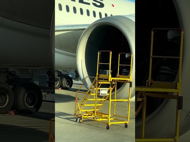 Post Flight Engine Check #787 #boeing #japan #japanairlines #tokyo