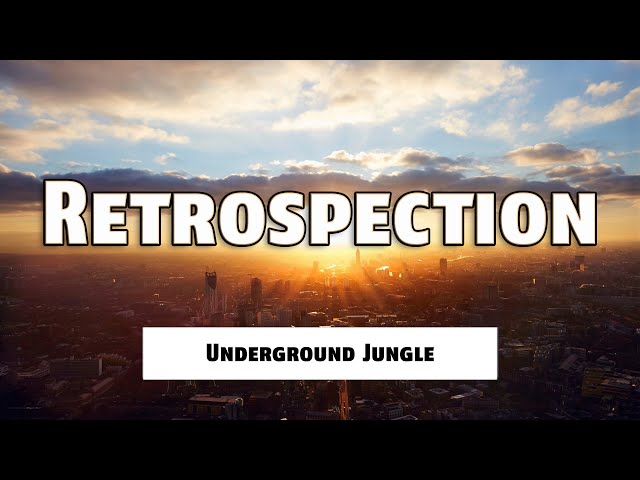 Retrospection [Underground Jungle] - 2 Hour Oldskool Jungle DJ Mix