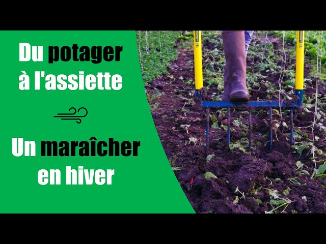 Du potager à l'assiette - un maraîcher en hiver