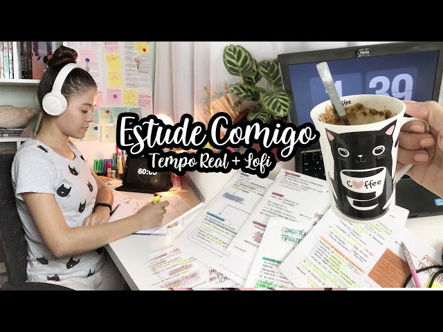 ♡ ESTUDE COMIGO POR 1 HORA SEM PAUSA + lofi ♡ Nia Teixeira #2