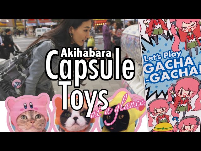 Akihabara Capsule Toys at a glance