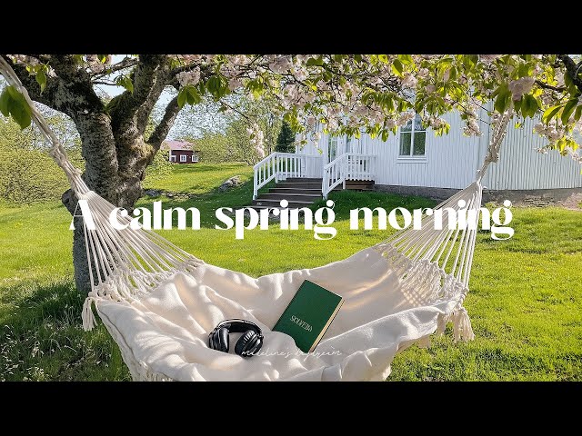 a calm spring morning | a dreamy morning playlist⭐romanticize your life with 2025 guitar music