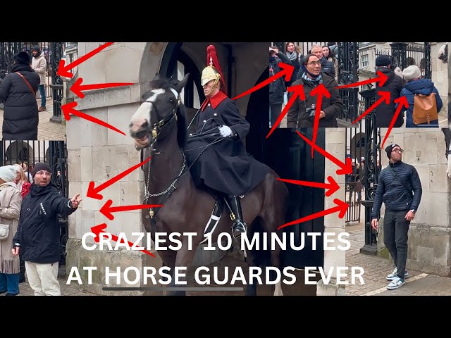 UNBELIEVABLE! THE CRAZIEST 10 MINUTES AT THE HORSE GUARDS EVER!