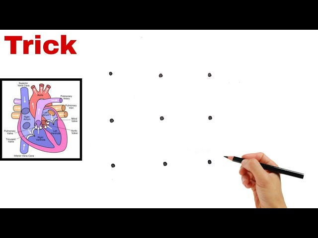 9 Dots की मदद से Human Heart Diagram Drawing // How to Draw Human Heart Diagram // Human Heart