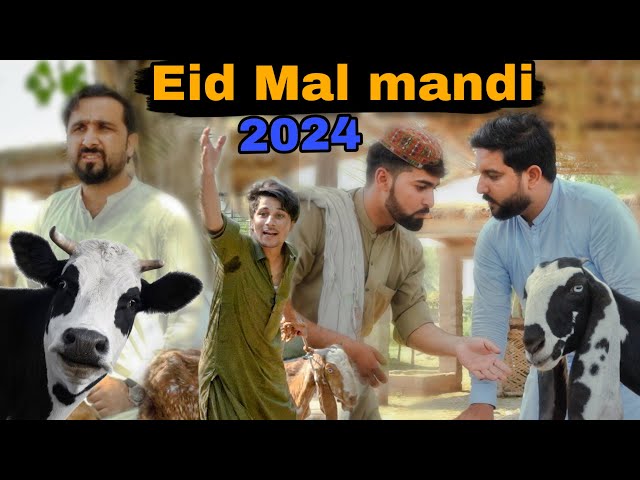 Eid mal mandi 2024 | pashto new funny video | Zindabad vines 2024