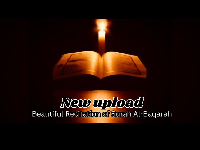 Surah Al Baqarah Full (quick recitation) by Sheikh Mishary Al Afsay | سورۃ البقرہ Surah Al Bakra |