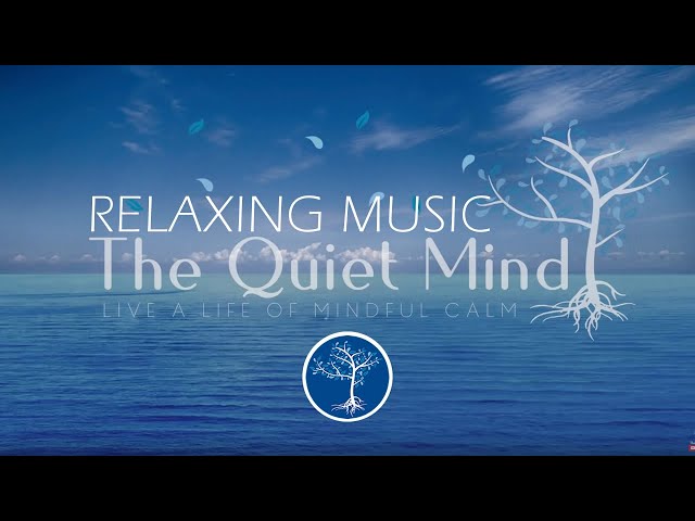 Relaxing Music for Sleep - 10 Minute Meditation Music - Sleep Music