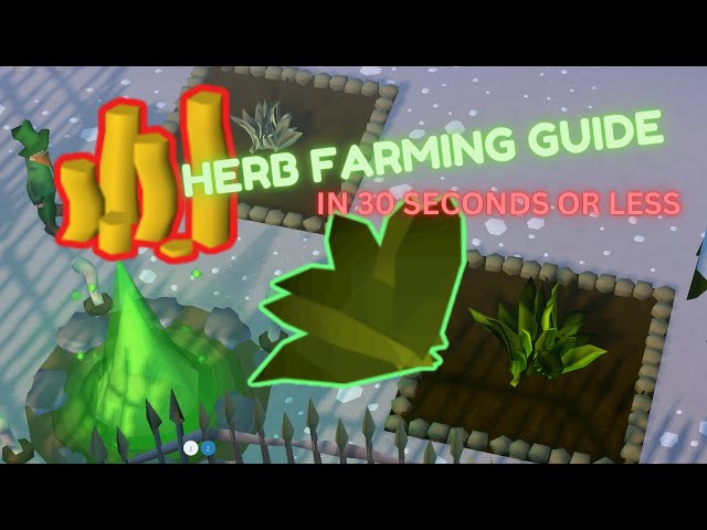 Herb Farming Guide in 30 Seconds or Less