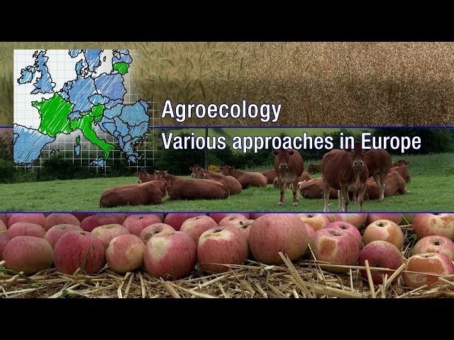 Agroecology, various approaches in Europe.