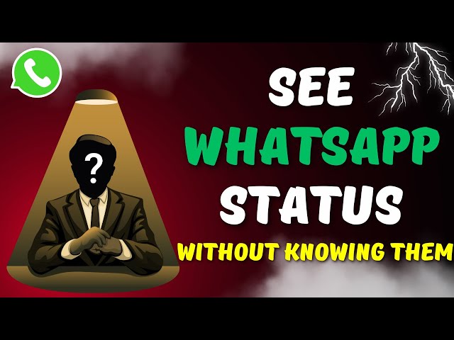 How To See WhatsApp Status Without Them Knowing (2024)