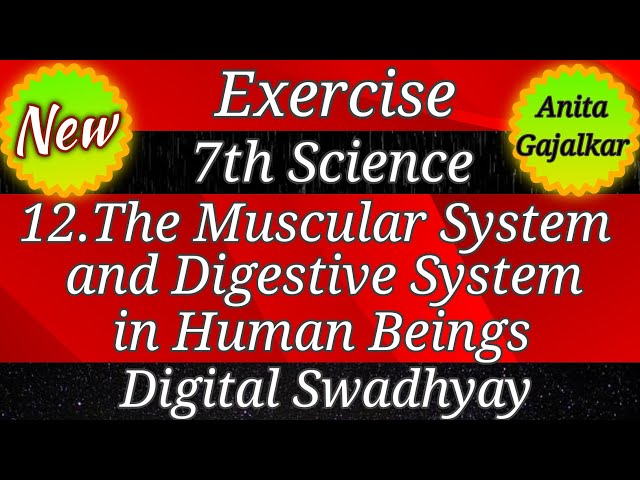 12 the muscular system and digestive system in human beings । 7th science chapter 12 question