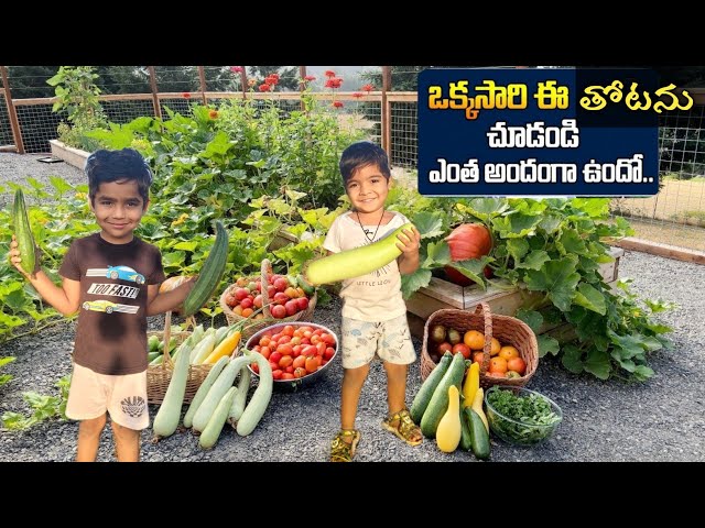 సినిమా సెట్టింగ్ లా తోట🪴🤩||Garden tour in Telugu||Magic Star Mallesh