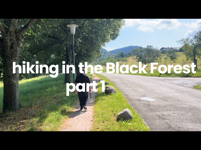 Mountain Hiking in the Black Forest | vlog