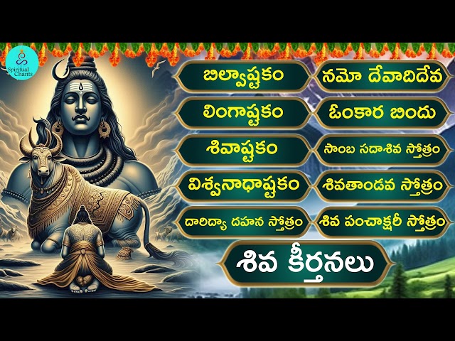 సోమవారం రోజు మహా శివుని పాటలు వింటే కోటిజన్మల పుణ్య ఫలం | Lingashtakam | Monday Lord Shiva Songs