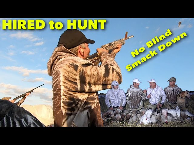 Hired to Hunt Season 7 #8: No Blinds ... Duck and Goose Hunting. Limit Hunts in Alberta