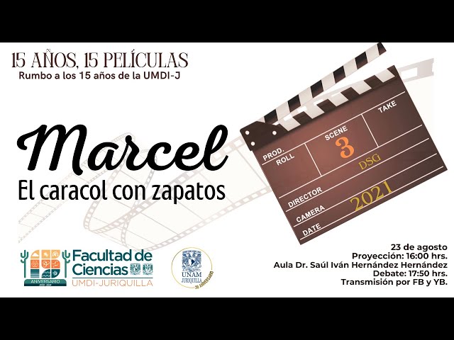 Proyección-debate "Marcel The shell With Shoes On".