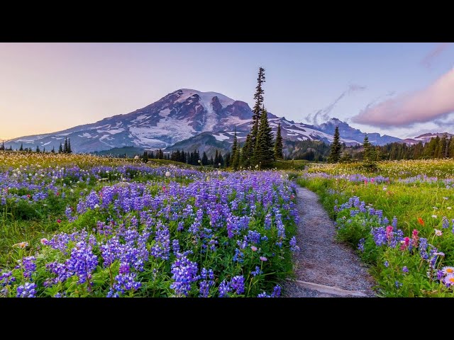 Backpacking the Wonderland Trail | Mt Rainier National Park