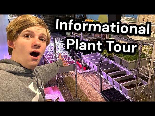 Informational Plant Tour