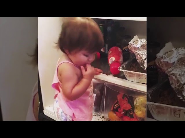 baby funny videos after opening fridge