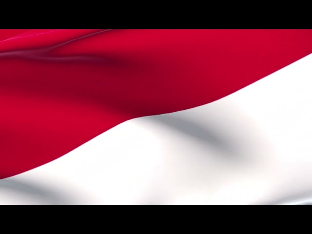 Waving Indonesia close Flag,  3D Animated Indonesia flag Relax Video, Indonesia independents day