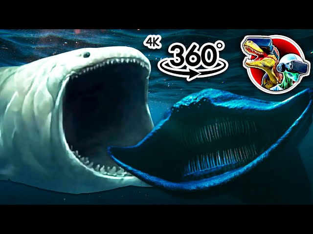 360° Bloop VS EL Gran Maja | 360 video 4K