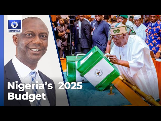 Implementation Of 2025 Budget Seems Feasible - Adedipe