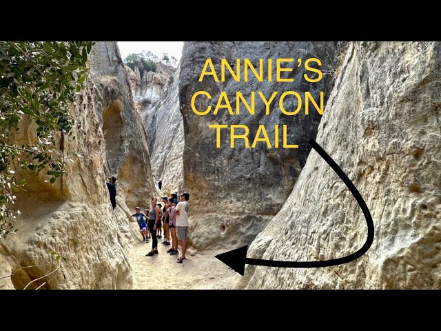 Annie’s canyon trail, San Elijo lagoon (#305) San Diego California