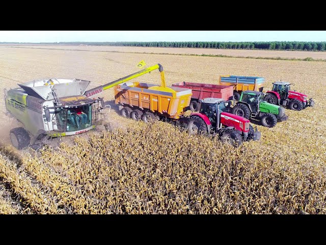 XXL MOISSON maïs in FRANCE - Claas Lexion 780 TT & Gros Matériel ! [4K]