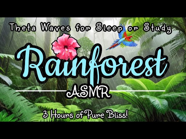 Immersive Rainforest ASMR with Theta Waves for Relaxing VR 360