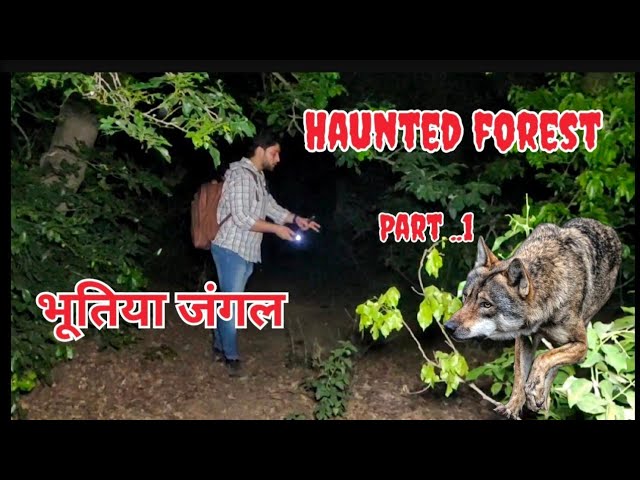 भूतिया जंगल ! Haunted forest #indian ghost hunters kk#ghost