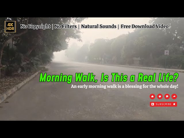 4K Morning Walk | Breath Of Nature | No Copyright | No Copyright Stock Clip | Free Nature HD Video