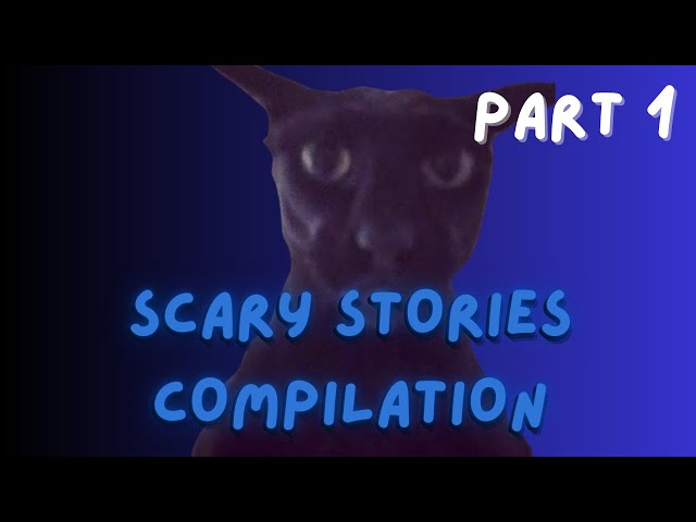 Cat Scary Stories Compilation Part 1