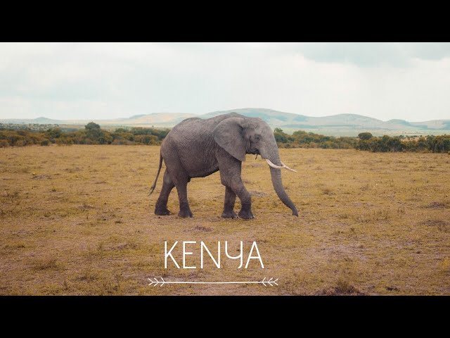 Kenya 2019 | The Greatest African Adventure