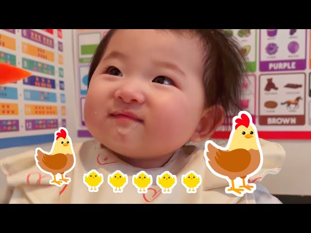 Tiny tastes: Baby tries chicken congee Baby eating journey from milk to solid 宝宝吃辅食鸡肉粥 #babyValerie