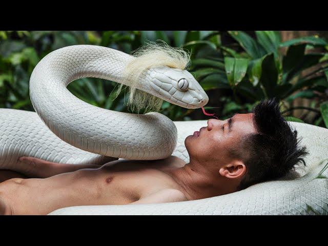 Man Fall in Love With White Snake | Chinese Fantasy Movie Explained in Hindi