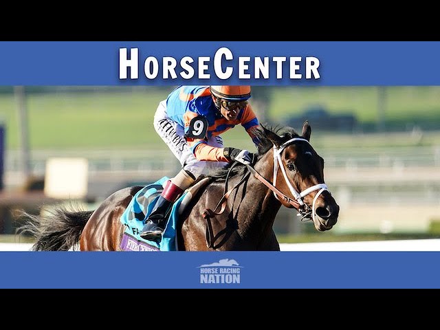 Breeders' Cup 2024 Top Contenders on HorseCenter