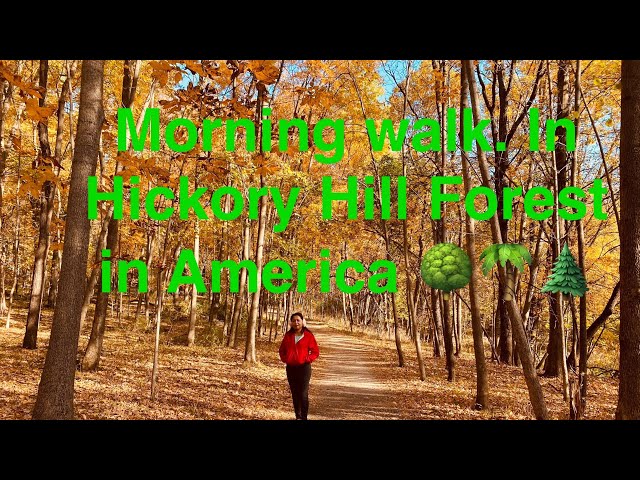 Morning Walk in Hickory Hill Forest in America🌳🌲🌴||kuch Dekh ke Darr gaye 😳😳😳||Must Watch