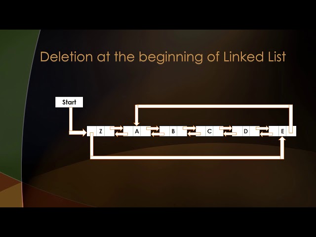 Introduction and Operations on Circular Doubly Linked List